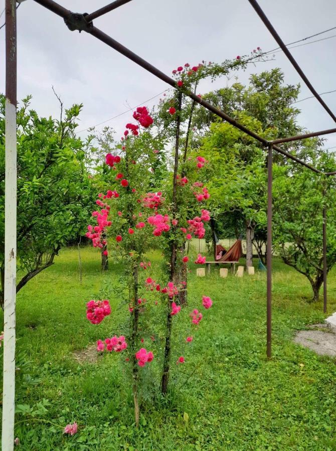 Nini'S Sweet House Hotel Matkhoji Luaran gambar